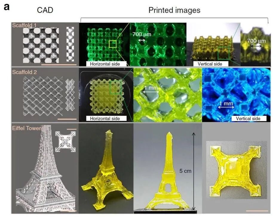 医用诱导骨基质是什么【专题集锦】软骨再生（20230111更新）_https://www.jmylbn.com_新闻资讯_第34张