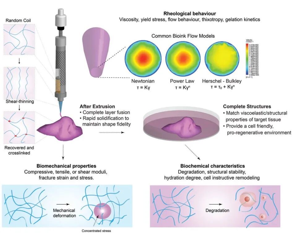 明胶在血管怎么降解【专题集锦】生物3D打印墨水设计及应用研究（20211124更新）_https://www.jmylbn.com_新闻资讯_第10张