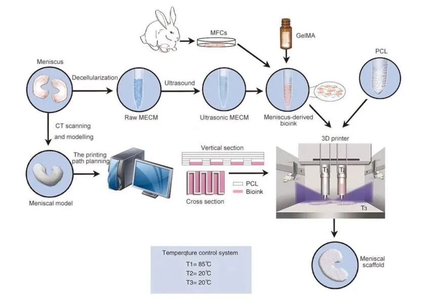 医用诱导骨基质是什么【专题集锦】软骨再生（20230111更新）_https://www.jmylbn.com_新闻资讯_第66张