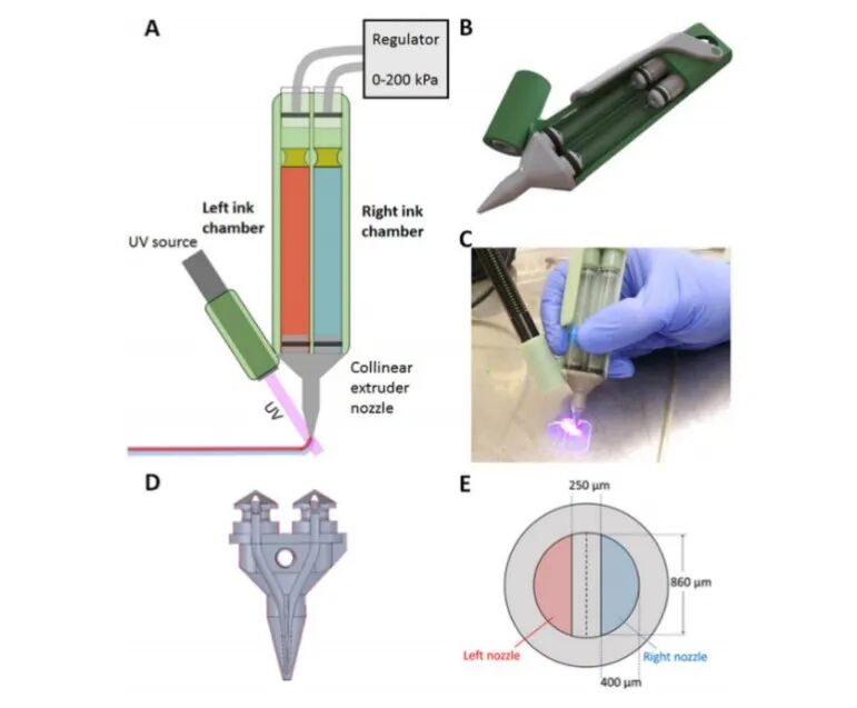 医用诱导骨基质是什么【专题集锦】软骨再生（20230111更新）_https://www.jmylbn.com_新闻资讯_第50张