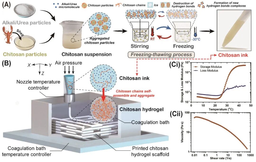 明胶在血管怎么降解【专题集锦】生物3D打印墨水设计及应用研究（20211124更新）_https://www.jmylbn.com_新闻资讯_第44张