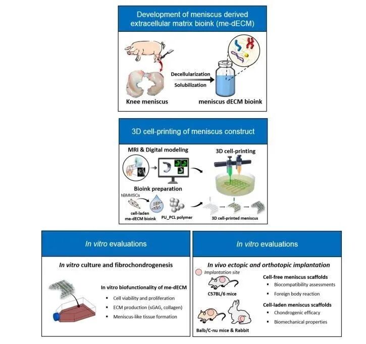 明胶在血管怎么降解【专题集锦】生物3D打印墨水设计及应用研究（20211124更新）_https://www.jmylbn.com_新闻资讯_第12张