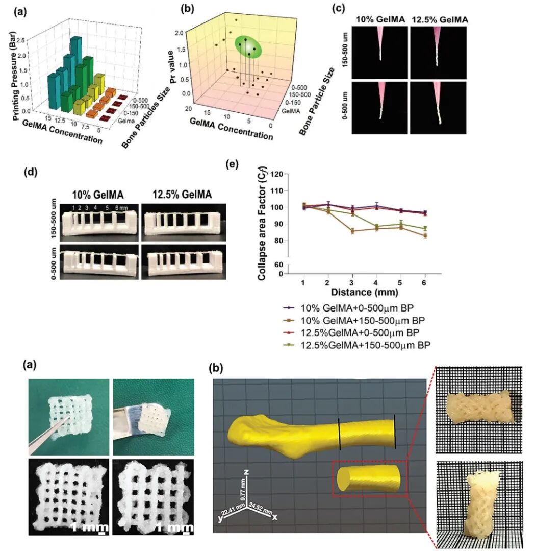 明胶在血管怎么降解【专题集锦】基于GelMA墨水的生物3D打印（20230110更新）_https://www.jmylbn.com_新闻资讯_第6张