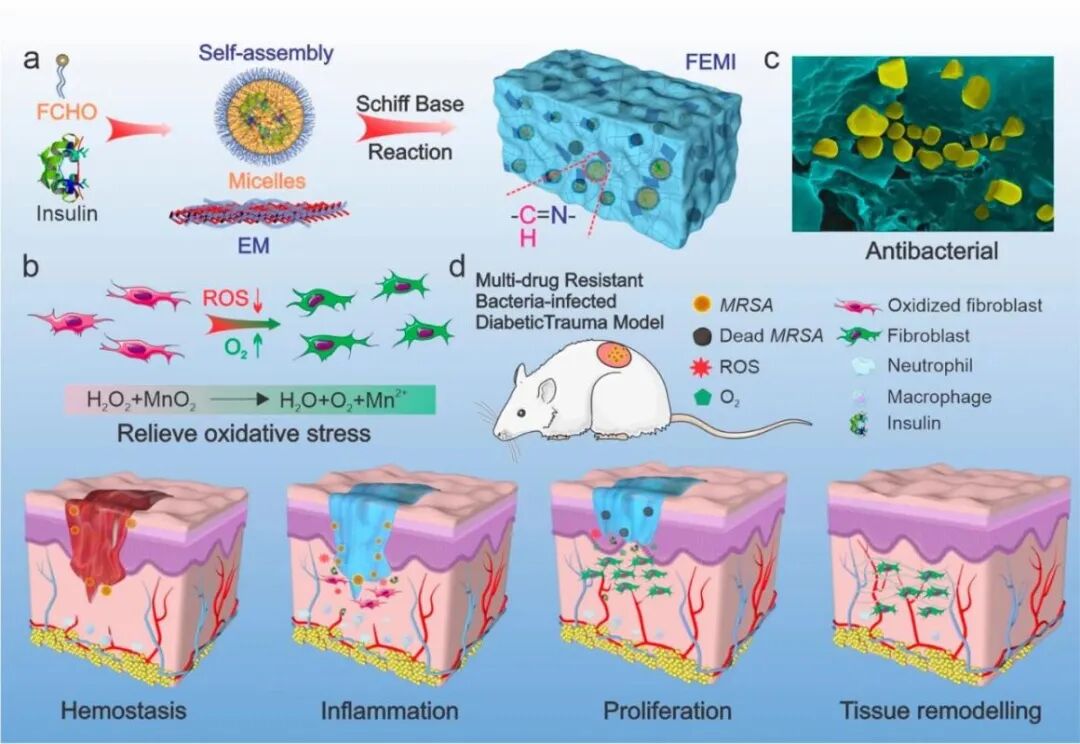 水凝胶伤口敷料怎么用【专题集锦】组织粘附与伤口敷料（20210803更新）_https://www.jmylbn.com_新闻资讯_第42张