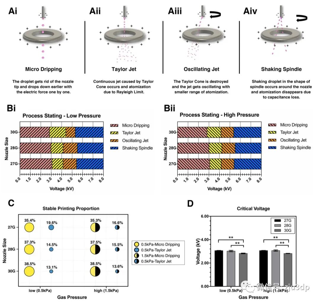 明胶在血管怎么降解【专题集锦】基于GelMA墨水的生物3D打印（20230110更新）_https://www.jmylbn.com_新闻资讯_第4张