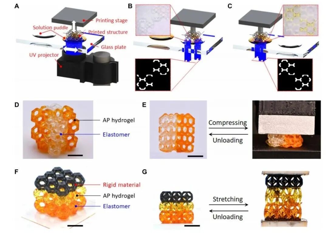 明胶在血管怎么降解【专题集锦】生物3D打印墨水设计及应用研究（20211124更新）_https://www.jmylbn.com_新闻资讯_第50张