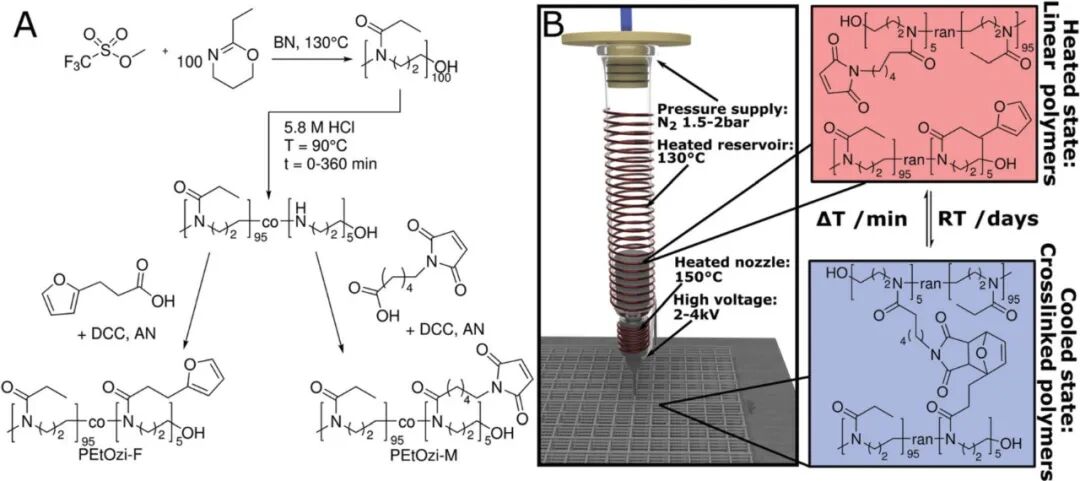 明胶在血管怎么降解【专题集锦】生物3D打印墨水设计及应用研究（20211124更新）_https://www.jmylbn.com_新闻资讯_第48张