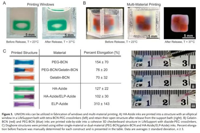 明胶在血管怎么降解【专题集锦】生物3D打印墨水设计及应用研究（20211124更新）_https://www.jmylbn.com_新闻资讯_第8张