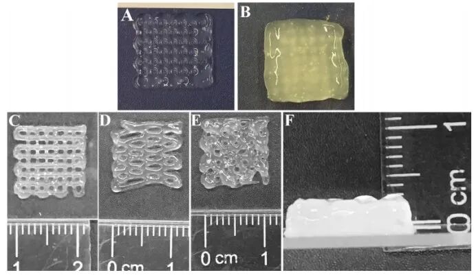 明胶在血管怎么降解【专题集锦】生物3D打印墨水设计及应用研究（20211124更新）_https://www.jmylbn.com_新闻资讯_第14张