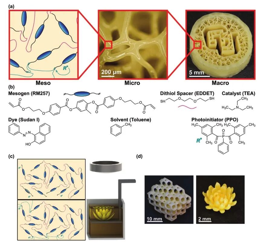 明胶在血管怎么降解【专题集锦】生物3D打印墨水设计及应用研究（20211124更新）_https://www.jmylbn.com_新闻资讯_第46张