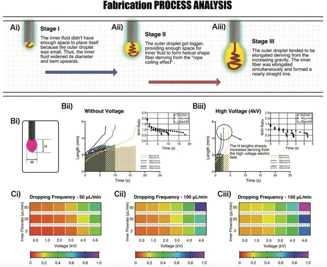 明胶在血管怎么降解【专题集锦】基于GelMA墨水的生物3D打印（20230110更新）_https://www.jmylbn.com_新闻资讯_第50张