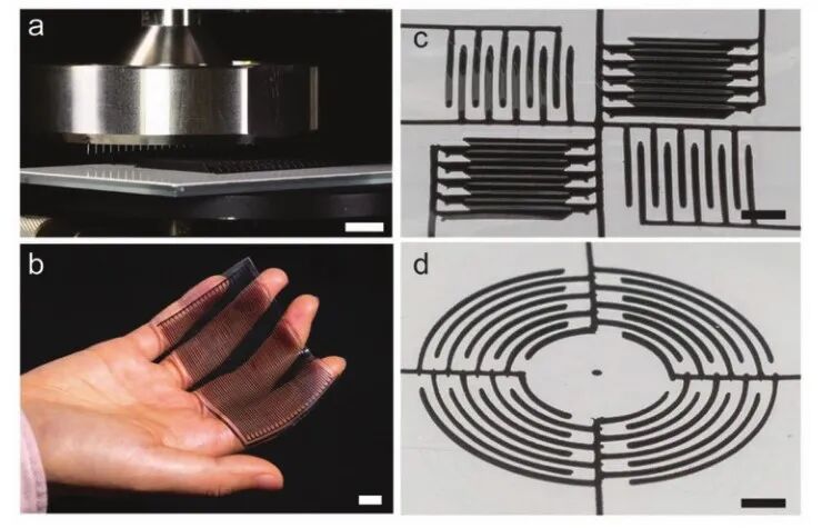 明胶在血管怎么降解【专题集锦】生物3D打印墨水设计及应用研究（20211124更新）_https://www.jmylbn.com_新闻资讯_第52张