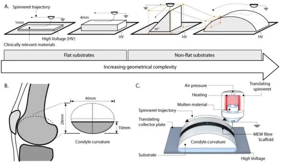医用诱导骨基质是什么【专题集锦】软骨再生（20230111更新）_https://www.jmylbn.com_新闻资讯_第64张