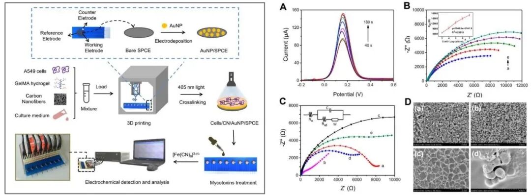 明胶在血管怎么降解【专题集锦】基于GelMA墨水的生物3D打印（20230110更新）_https://www.jmylbn.com_新闻资讯_第16张