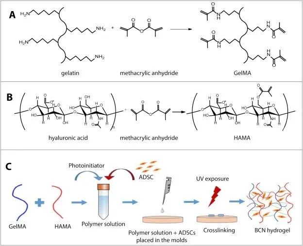 水凝胶伤口敷料怎么用【专题集锦】组织粘附与伤口敷料（20210803更新）_https://www.jmylbn.com_新闻资讯_第44张