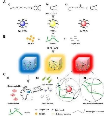 水凝胶伤口敷料怎么用【专题集锦】组织粘附与伤口敷料（20210803更新）_https://www.jmylbn.com_新闻资讯_第46张