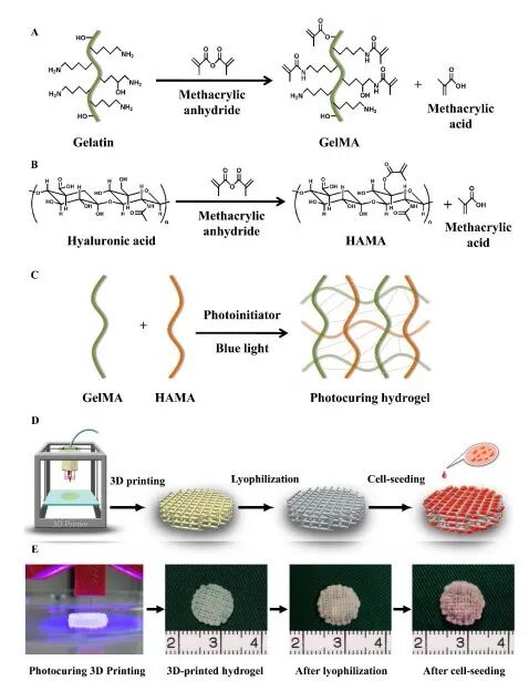 医用诱导骨基质是什么【专题集锦】软骨再生（20230111更新）_https://www.jmylbn.com_新闻资讯_第28张