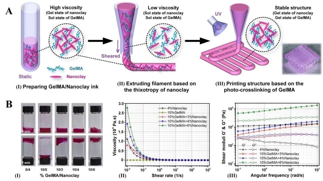 明胶在血管怎么降解【专题集锦】基于GelMA墨水的生物3D打印（20230110更新）_https://www.jmylbn.com_新闻资讯_第46张