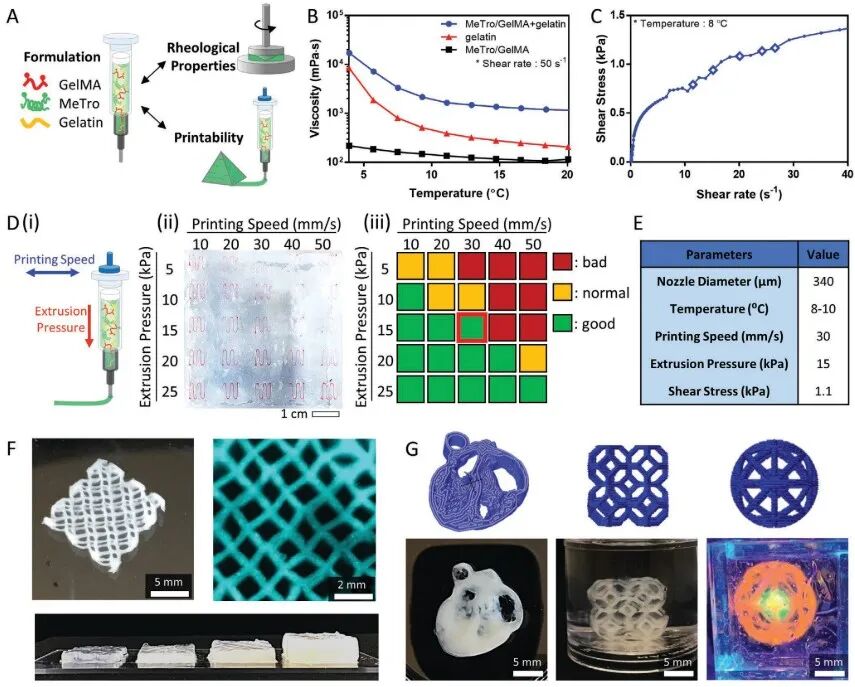 明胶在血管怎么降解【专题集锦】生物3D打印墨水设计及应用研究（20211124更新）_https://www.jmylbn.com_新闻资讯_第24张