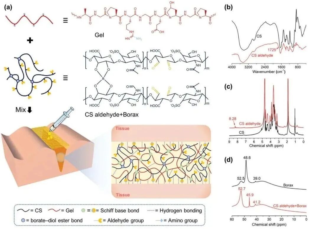 水凝胶伤口敷料怎么用【专题集锦】组织粘附与伤口敷料（20210803更新）_https://www.jmylbn.com_新闻资讯_第30张