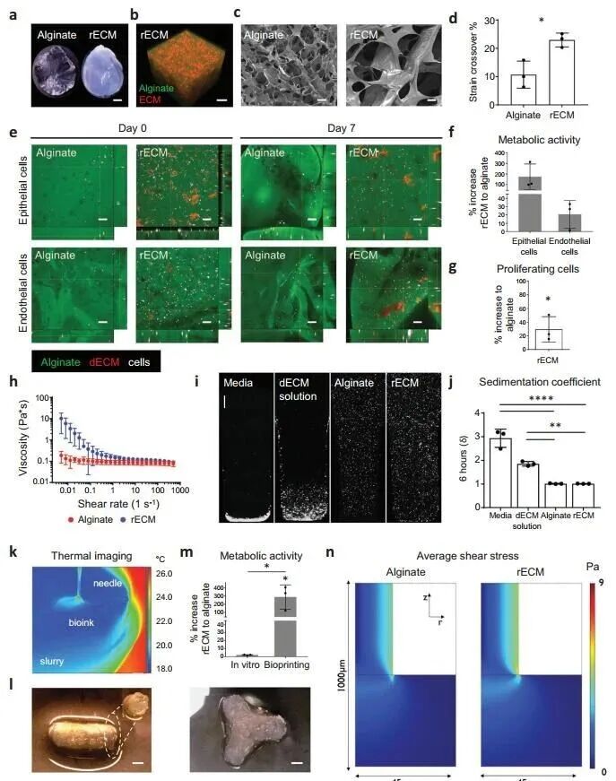 明胶在血管怎么降解【专题集锦】生物3D打印墨水设计及应用研究（20211124更新）_https://www.jmylbn.com_新闻资讯_第6张