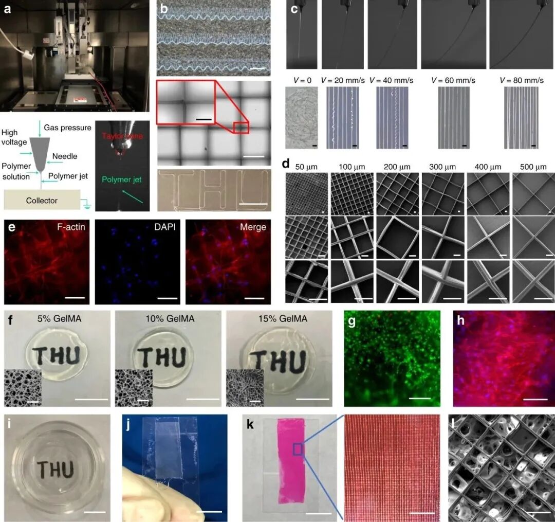 明胶在血管怎么降解【专题集锦】基于GelMA墨水的生物3D打印（20230110更新）_https://www.jmylbn.com_新闻资讯_第58张