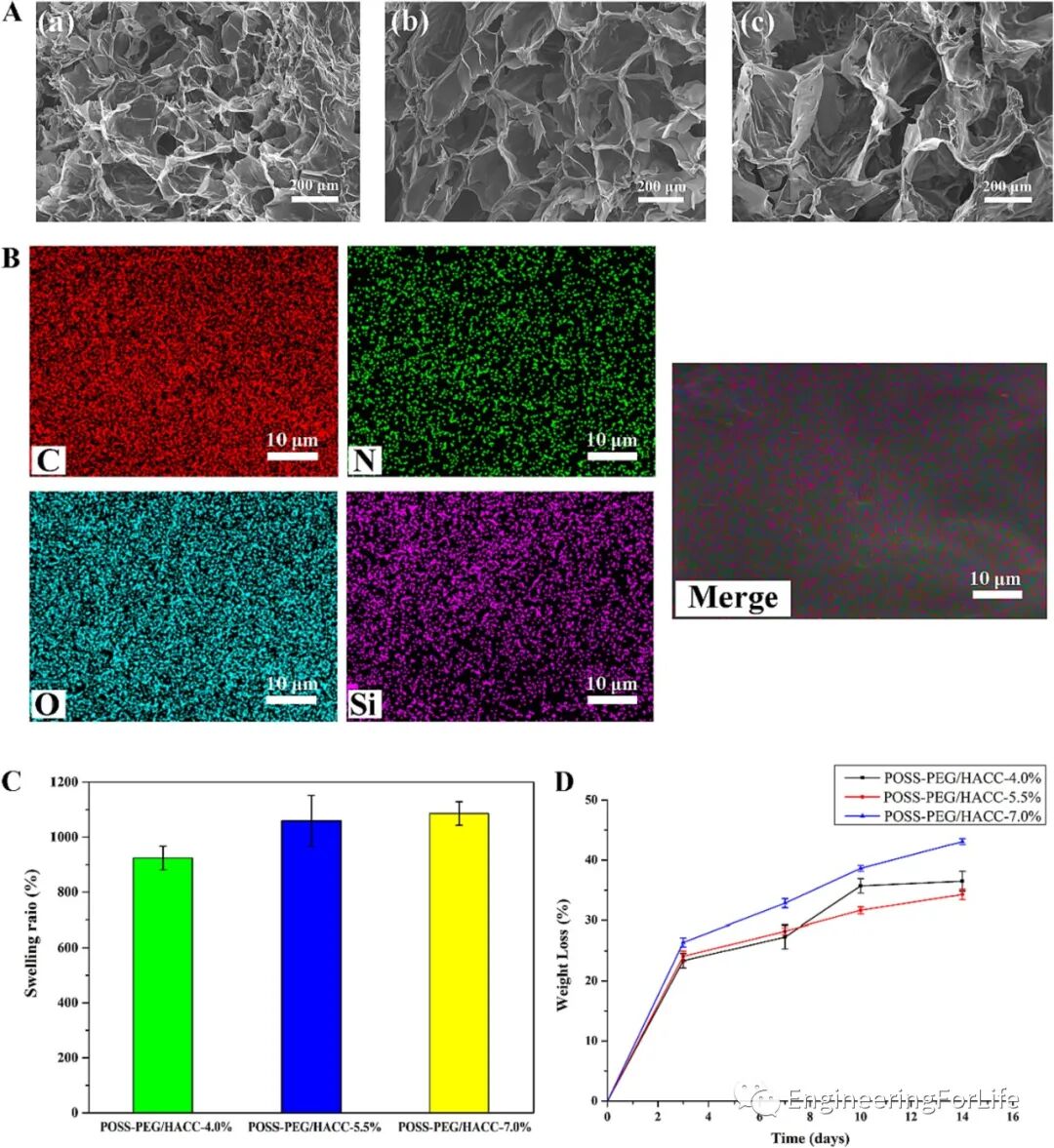 壳聚糖治什么病《Carbohydr. Polym.》：可注射自愈合的壳聚糖杂化水凝胶敷料促进糖尿病伤口愈合_https://www.jmylbn.com_新闻资讯_第3张