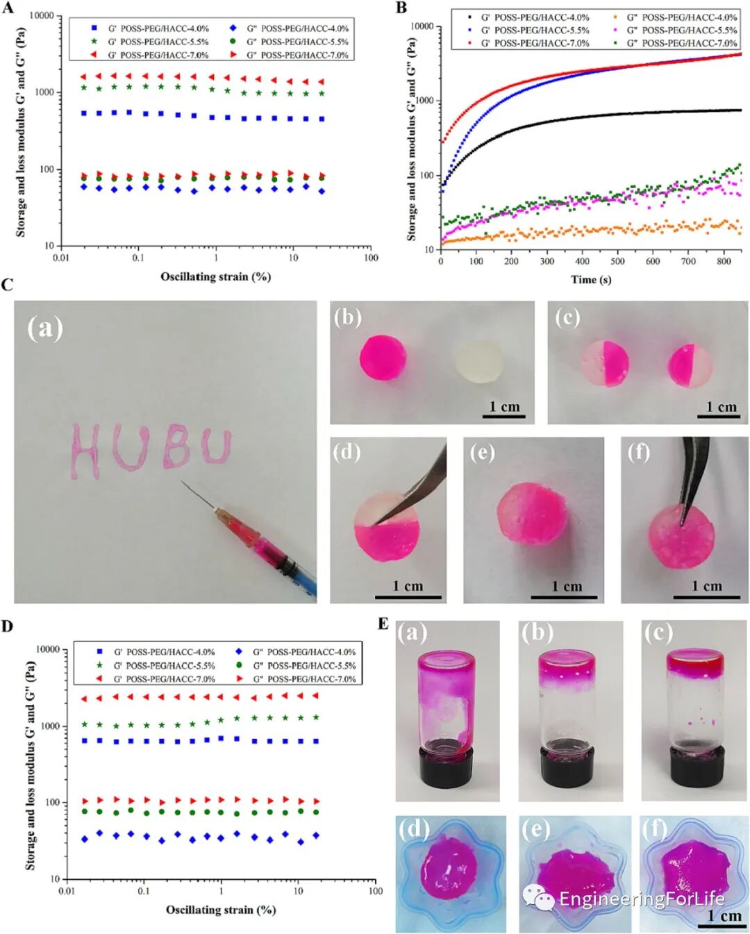 壳聚糖治什么病《Carbohydr. Polym.》：可注射自愈合的壳聚糖杂化水凝胶敷料促进糖尿病伤口愈合_https://www.jmylbn.com_新闻资讯_第4张