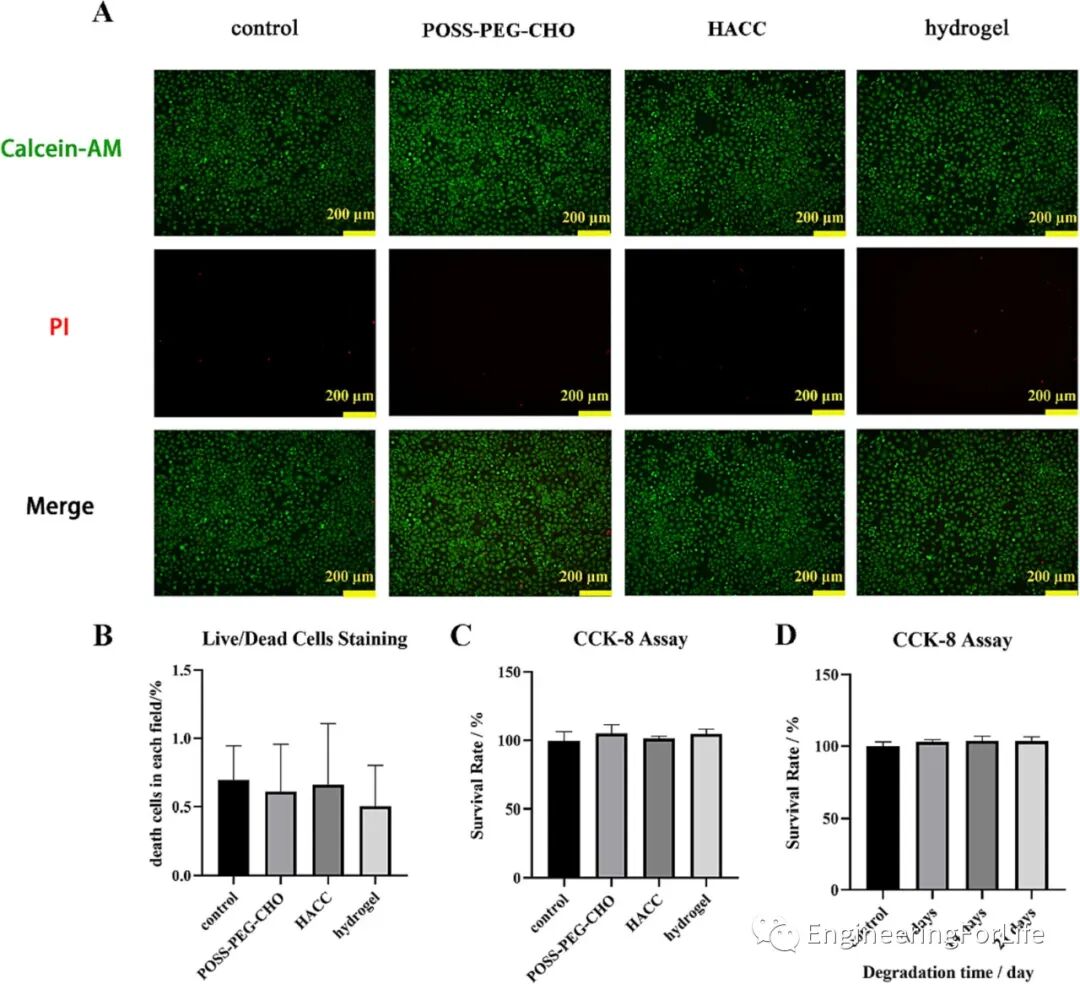 壳聚糖治什么病《Carbohydr. Polym.》：可注射自愈合的壳聚糖杂化水凝胶敷料促进糖尿病伤口愈合_https://www.jmylbn.com_新闻资讯_第5张