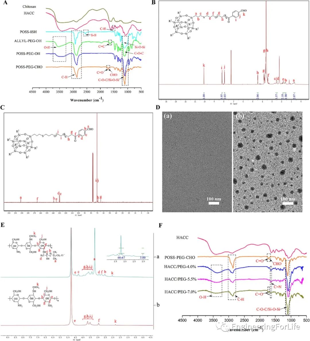 壳聚糖治什么病《Carbohydr. Polym.》：可注射自愈合的壳聚糖杂化水凝胶敷料促进糖尿病伤口愈合_https://www.jmylbn.com_新闻资讯_第1张