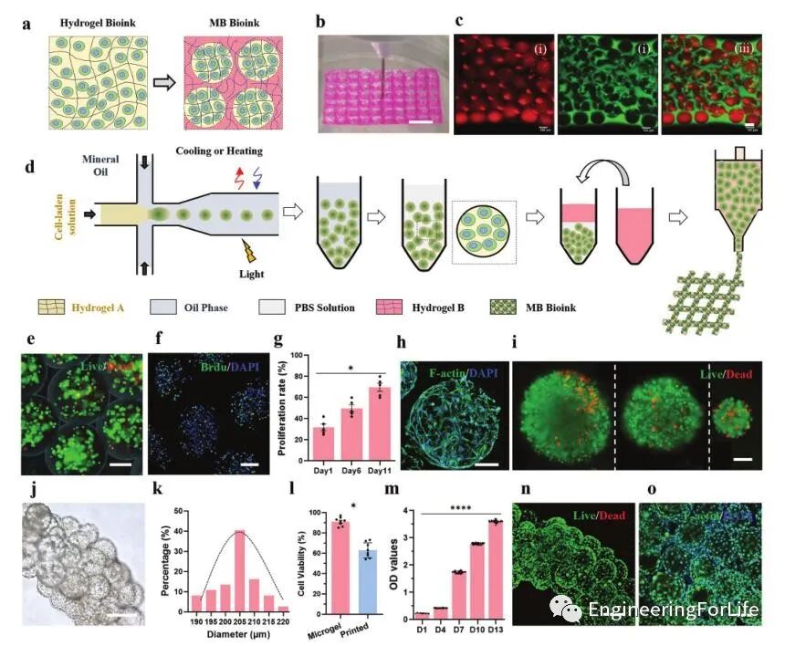 明胶在血管怎么降解【专题集锦】基于GelMA墨水的生物3D打印（20230110更新）_https://www.jmylbn.com_新闻资讯_第64张
