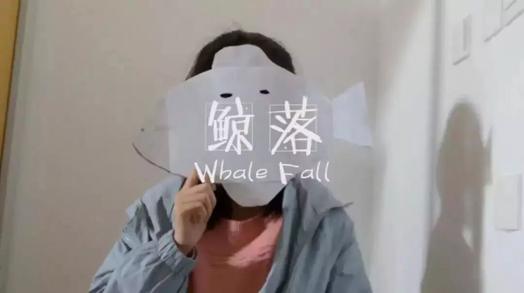 厦大创新网_厦大聚英网_厦大女生厕所惊现 偷拍门 网传50多张偷拍照