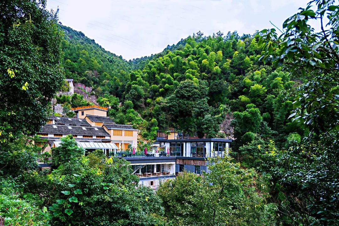 美麗鄉村家庭遊網紅線路，你PICK誰？快來給杭州投票！ 旅遊 第28張