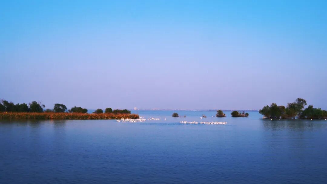 灌区入选全国“数字孪生灌区” 全省唯一