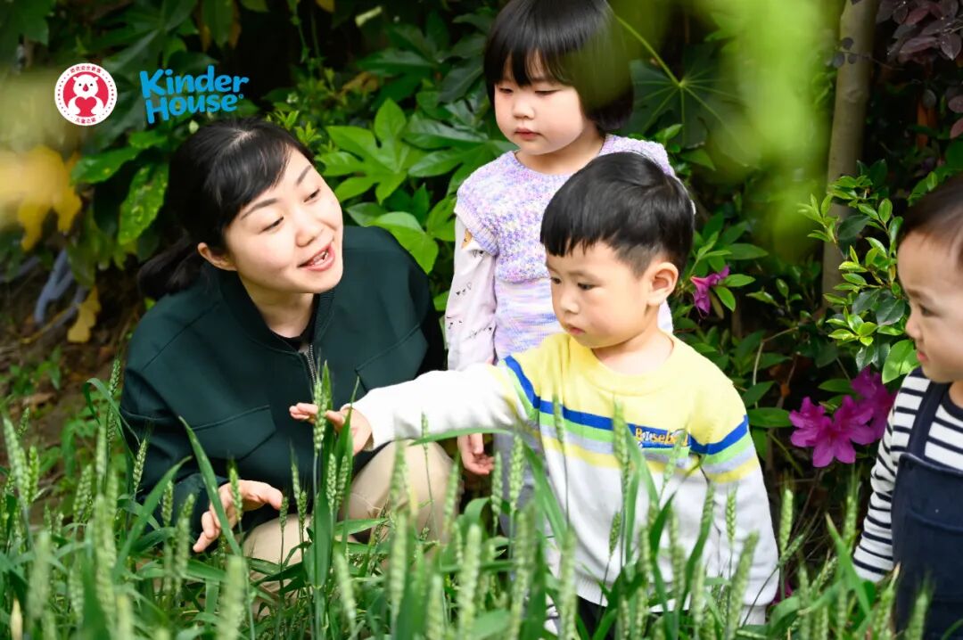 【托育前沿】家庭式托育该往哪儿发展？(图5)