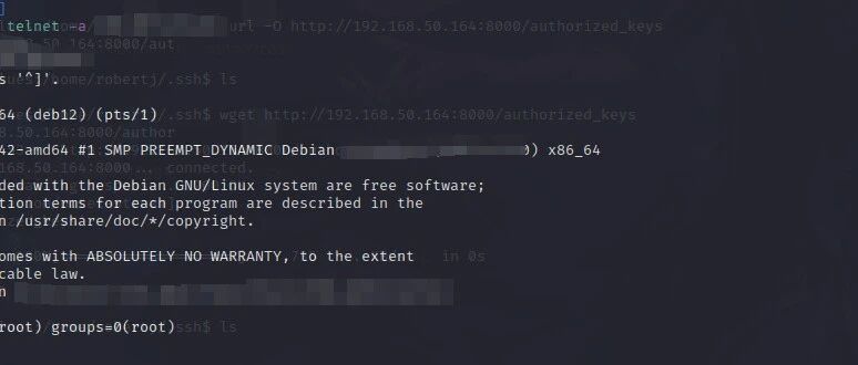 Example Image