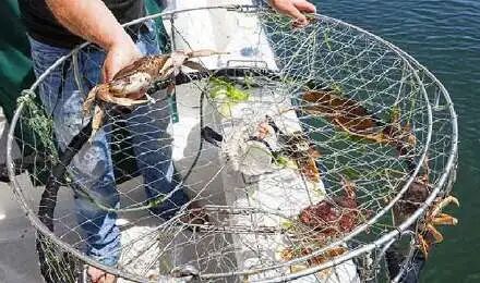 长岛船票_2021长岛船票价格_长岛船票多少钱一张