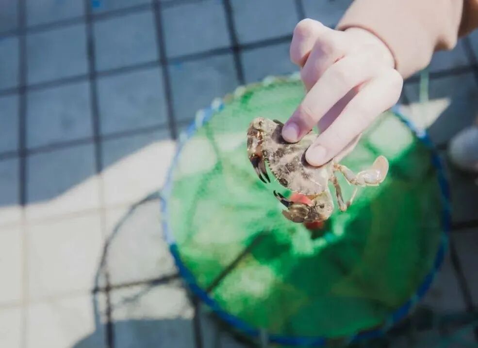 长岛船票_长岛船票多少钱一张_2021长岛船票价格