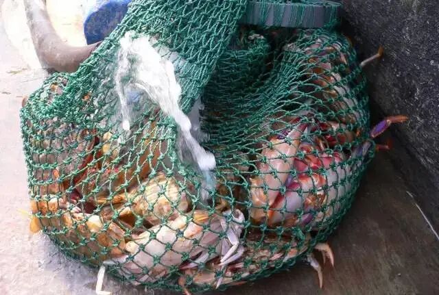 长岛船票多少钱一张_长岛船票_2021长岛船票价格