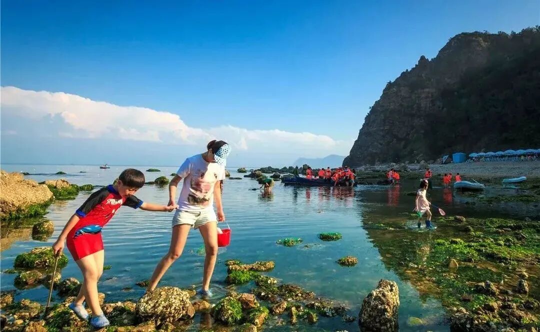 2021长岛船票价格_长岛船票多少钱一张_长岛船票