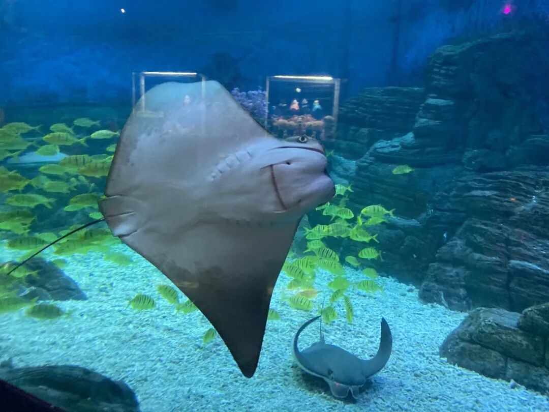 长岛船票多少钱一张_2021长岛船票价格_长岛船票