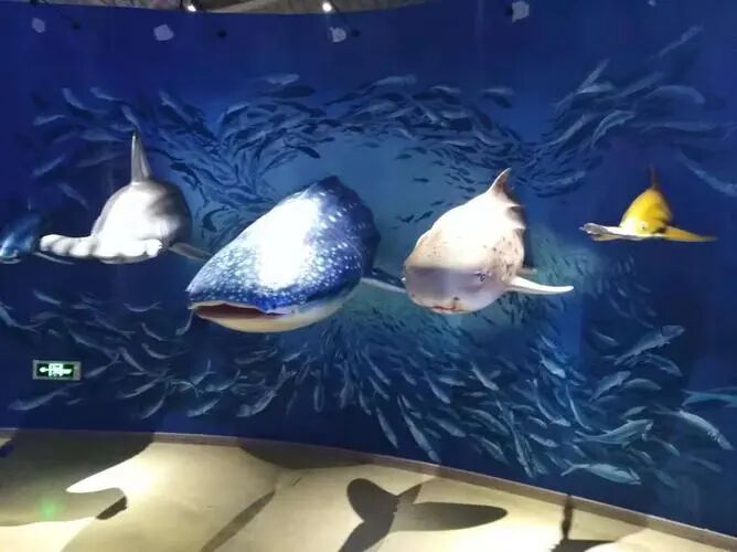 2021长岛船票价格_长岛船票多少钱一张_长岛船票