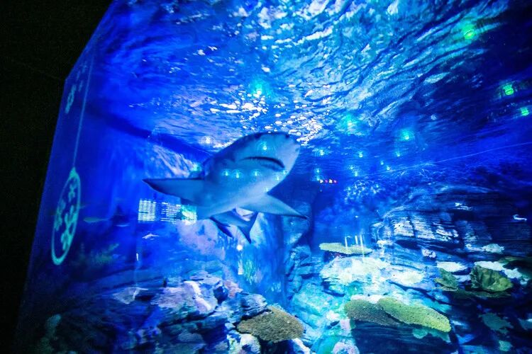 长岛船票多少钱一张_2021长岛船票价格_长岛船票