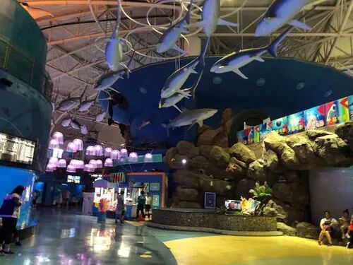 长岛船票_2021长岛船票价格_长岛船票多少钱一张