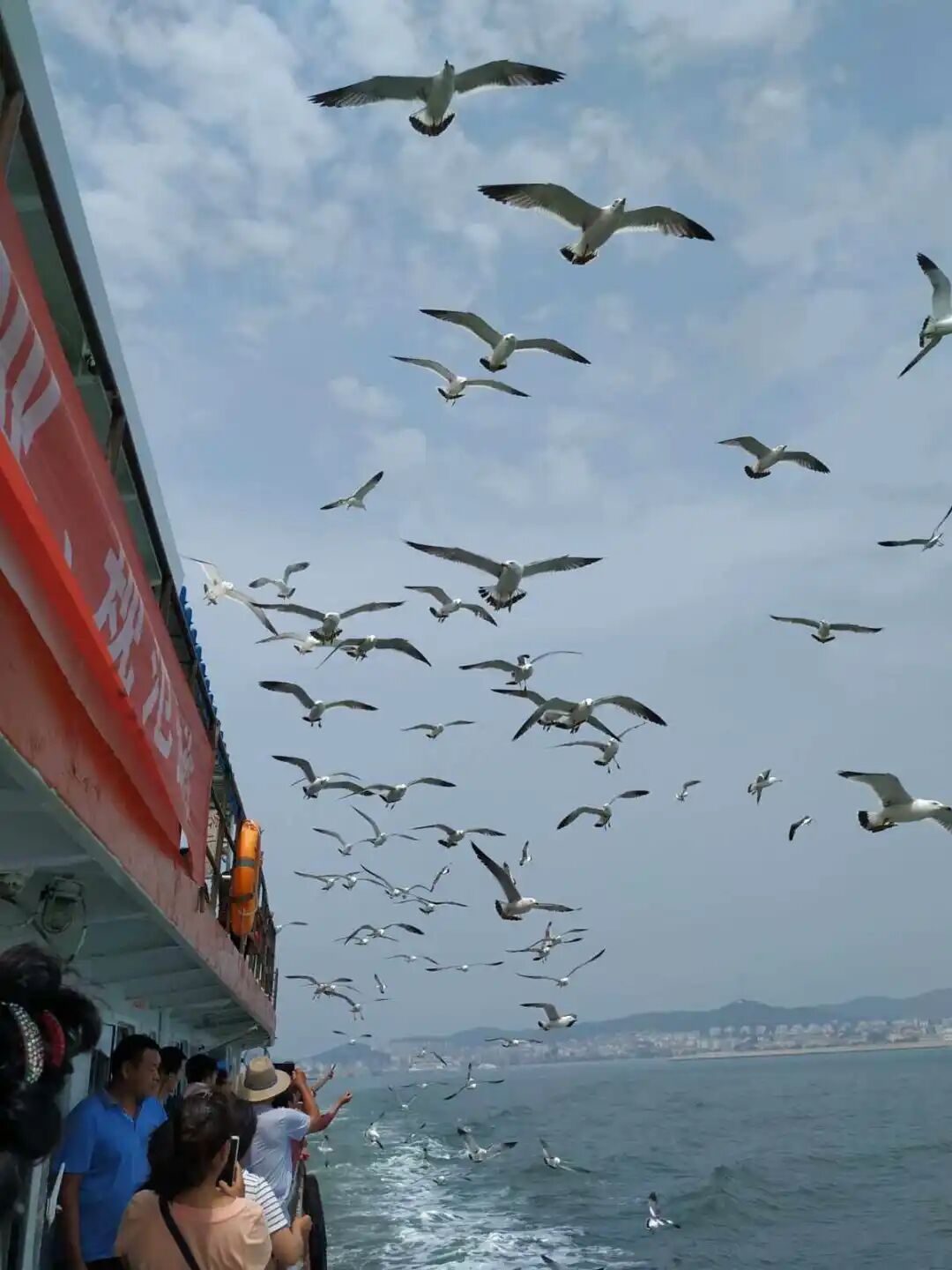 2021长岛船票价格_长岛船票多少钱一张_长岛船票