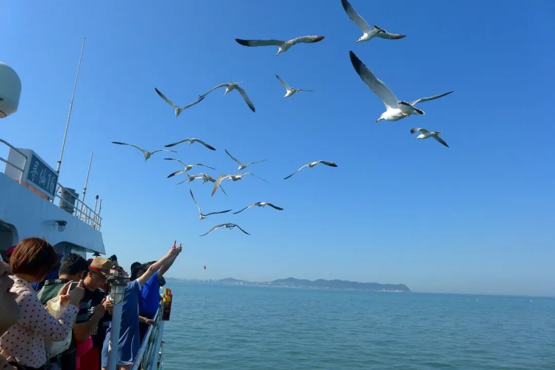 2021长岛船票价格_长岛船票_长岛船票多少钱一张