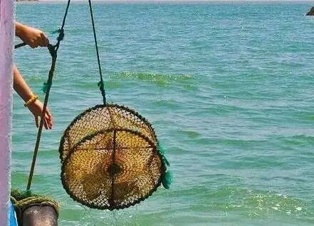 2021长岛船票价格_长岛船票_长岛船票多少钱一张