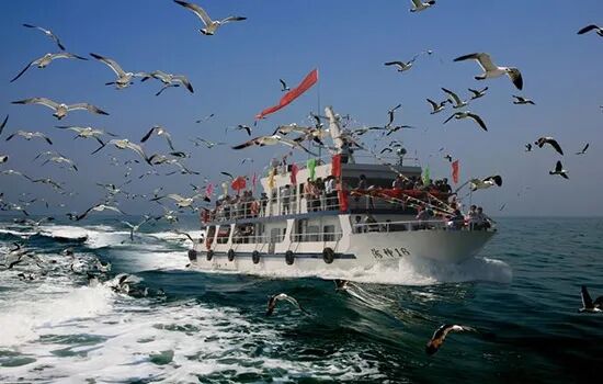 长岛船票_长岛船票多少钱一张_2021长岛船票价格