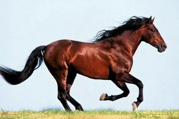 灿烂夺目打一数字_灿烂生肖夺目是什么生肖_灿烂夺目是什么生肖