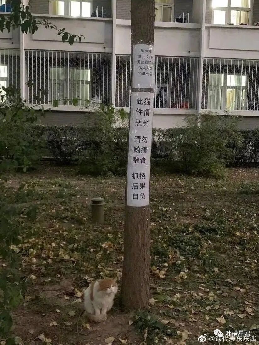 【爆笑】“背着男友监视前任朋友圈，结果手滑点到...”xswl（组图） - 58